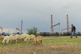 Pollution live GEmap 3